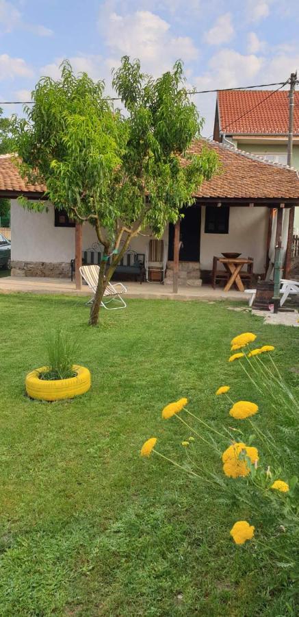 Stara Kovacnica Villa Golubac Exterior photo